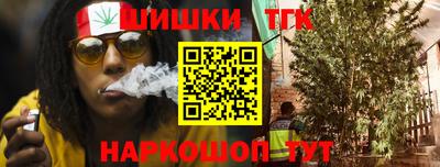 гашик Можга