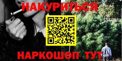 гашик Можга