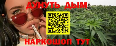 гашик Можга