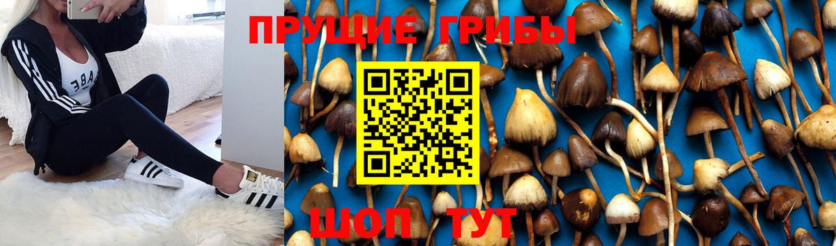 Галлюциногенные грибы мухоморы  Вход с VPN  Соликамск 