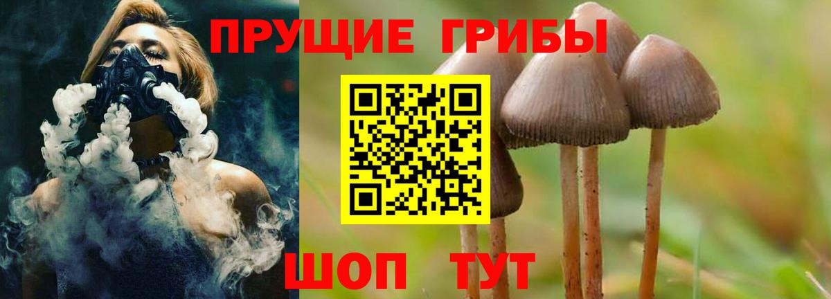 Псилоцибиновые грибы Cubensis Соликамск